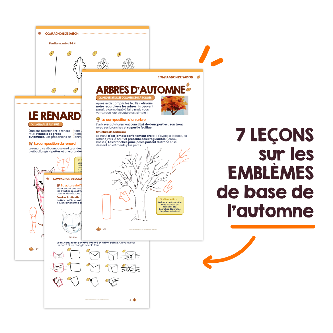 Mon Compagnon de Saison ( Automne 2025 )