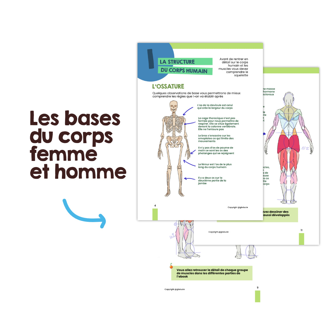 Ebook T2 et T4 : L'anatomie et le mouvement