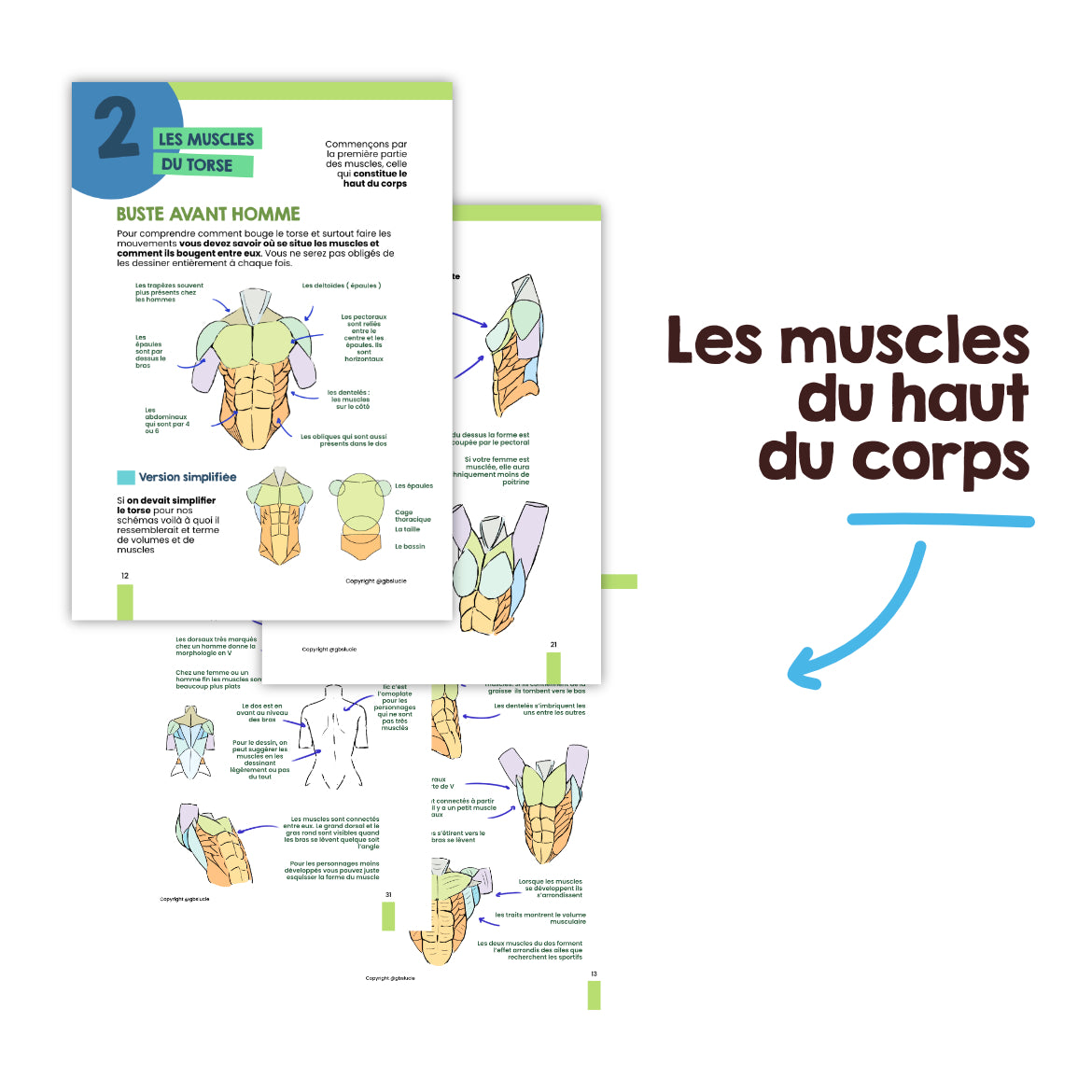 Ebook T2 et T4 : L'anatomie et le mouvement