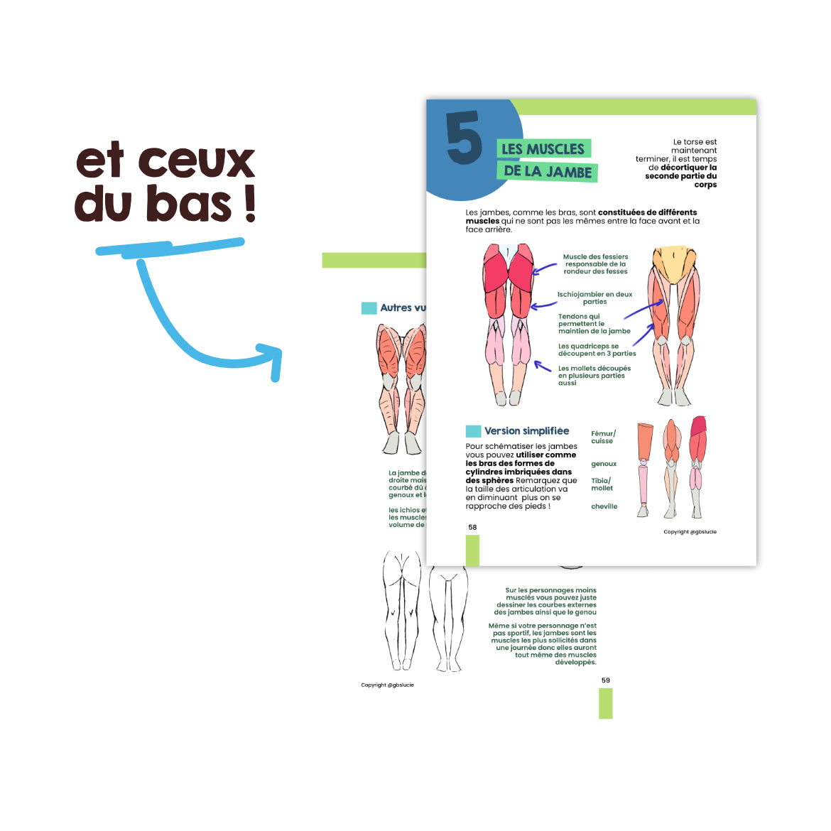 Ebook T2 et T4 : L'anatomie et le mouvement