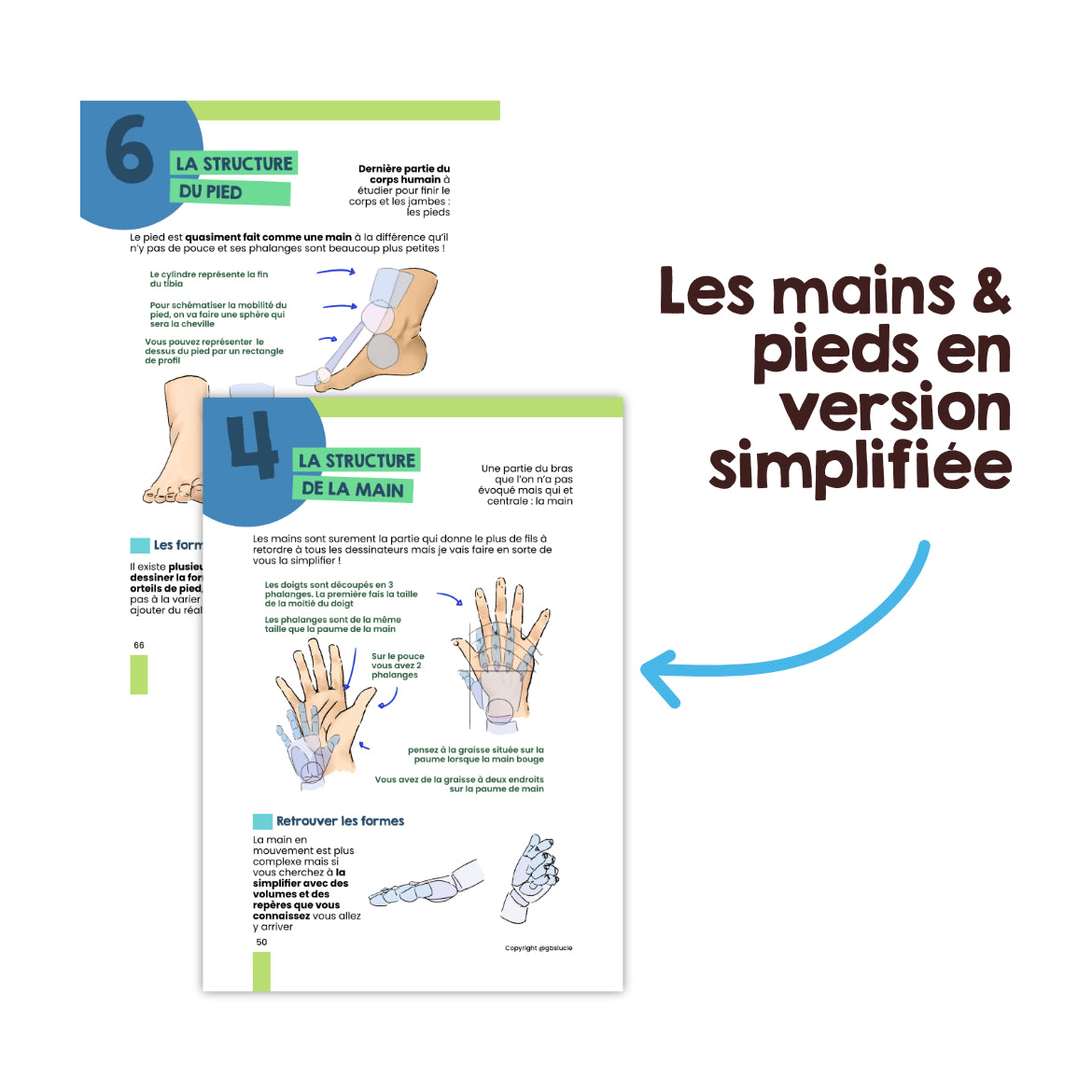 Ebook T2 et T4 : L'anatomie et le mouvement
