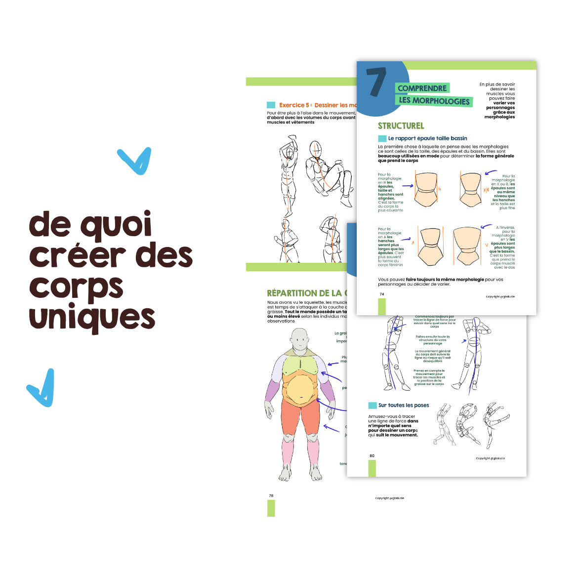 Ebook T2 et T4 : L'anatomie et le mouvement