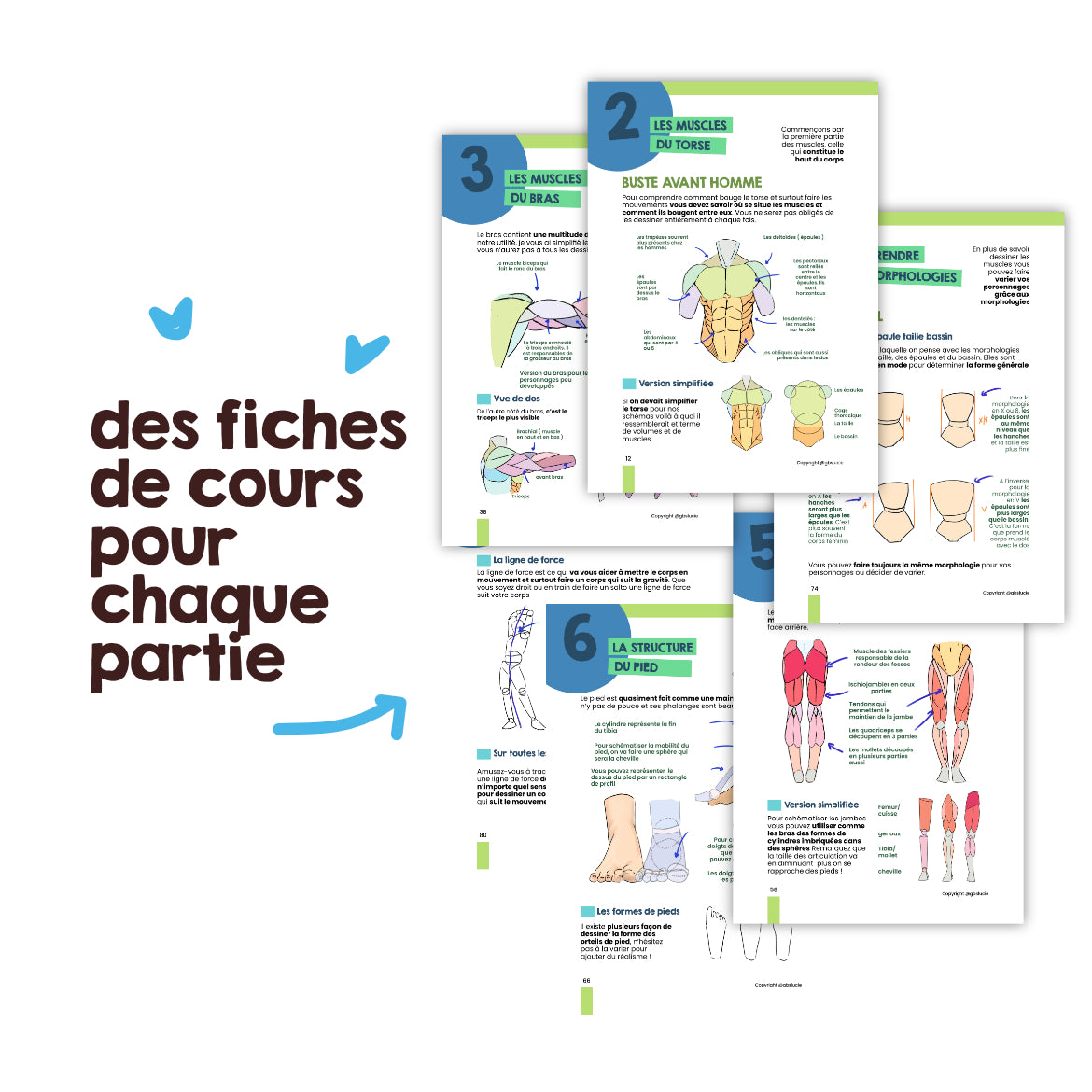 Ebook T2 et T4 : L'anatomie et le mouvement