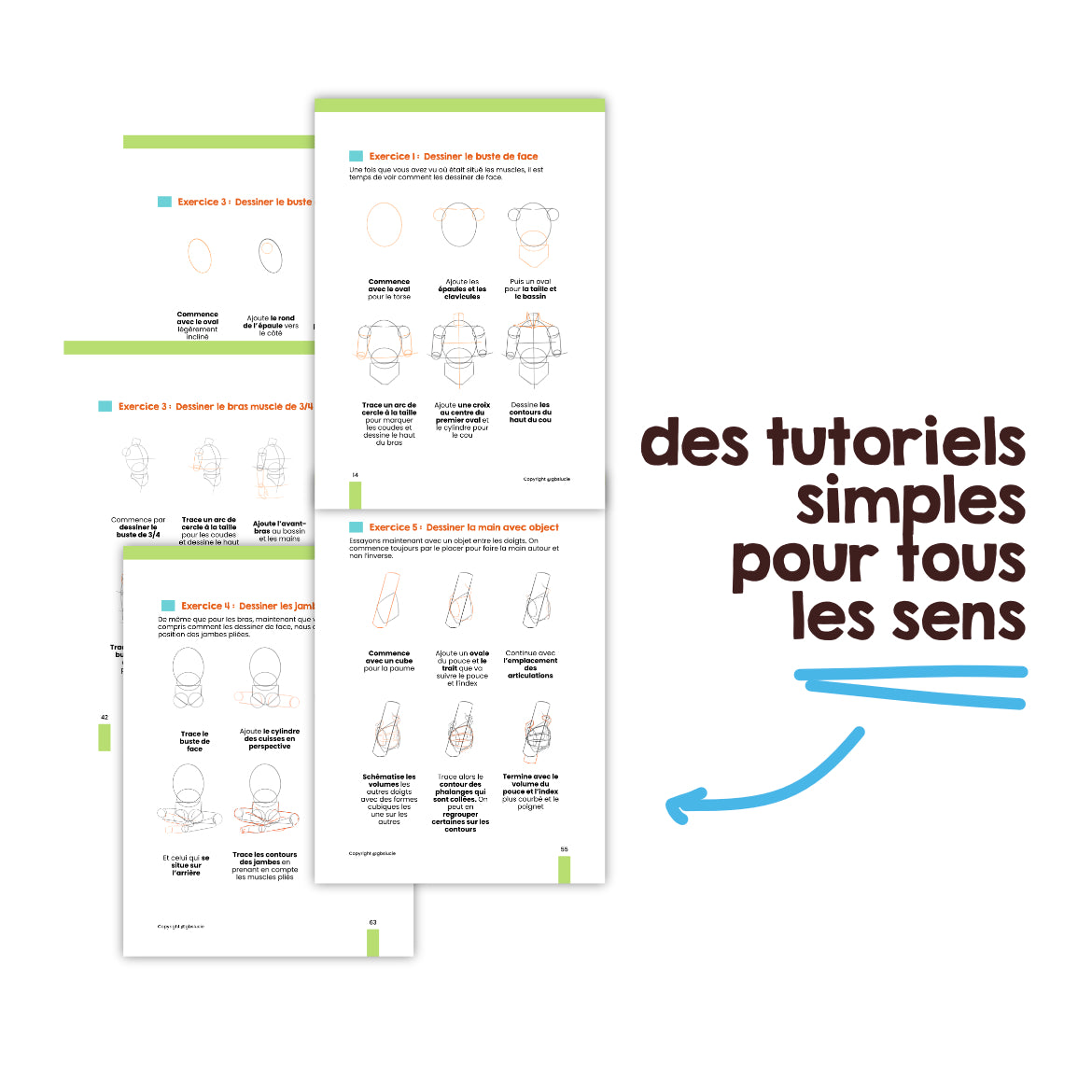 Ebook T2 et T4 : L'anatomie et le mouvement