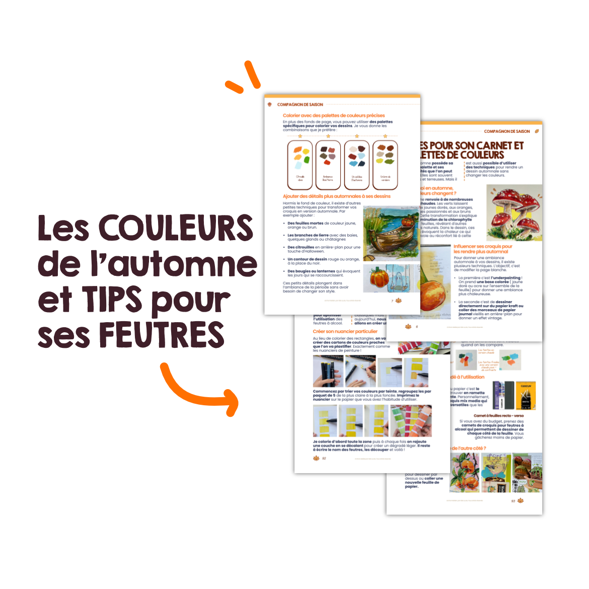 Mon Compagnon de Saison ( Automne 2025 )