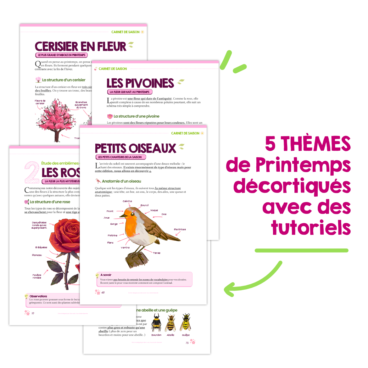 Mon Compagnon de Saison ( Printemps 2026 )