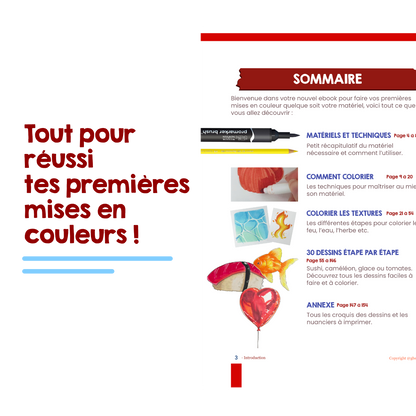 Ebook : Mise en couleurs Facile