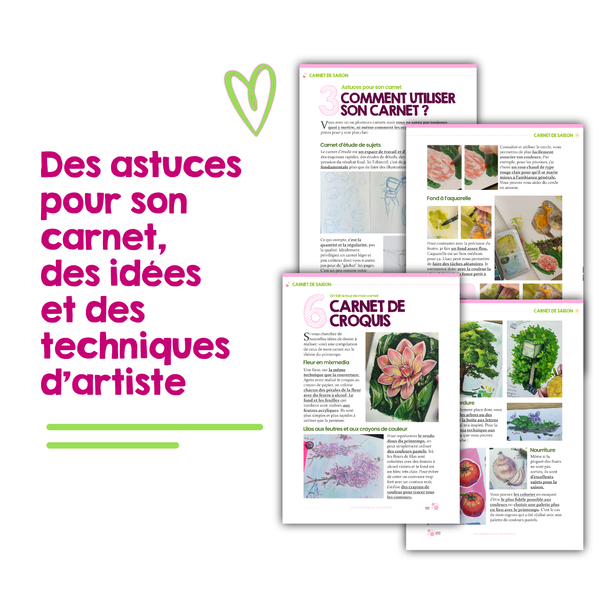 Mon Compagnon de Saison ( Printemps 2026 )