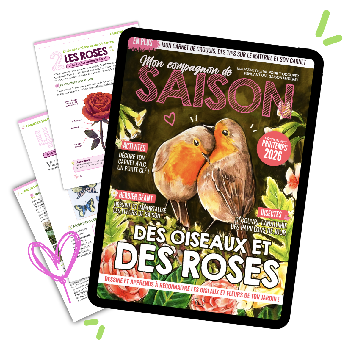 Mon Compagnon de Saison ( Printemps 2026 )