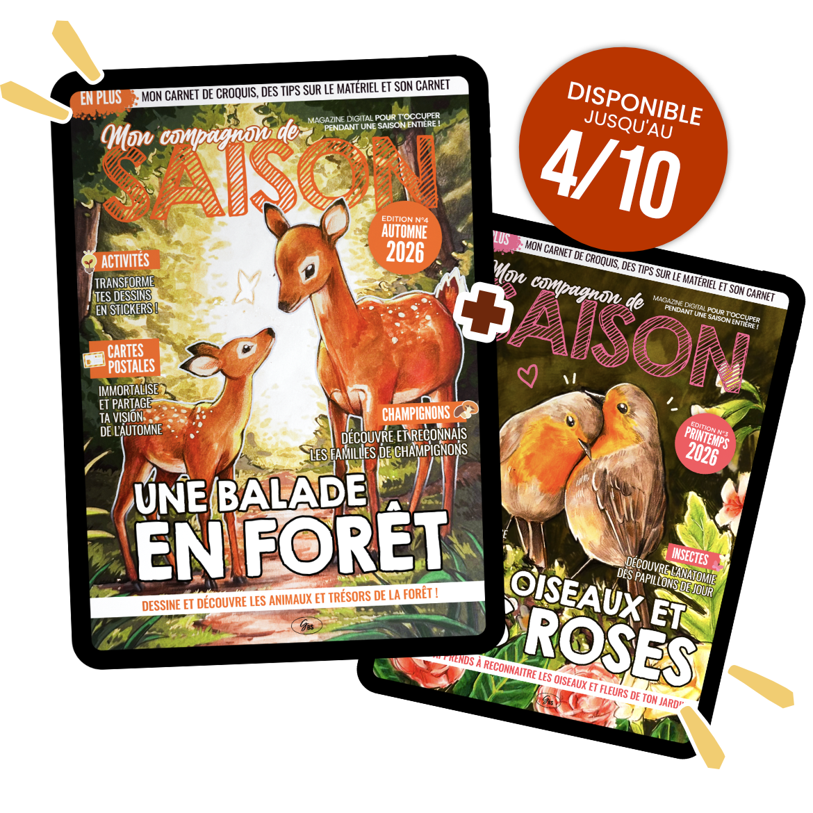 Mon Compagnon de Saison ( Automne 2026 )