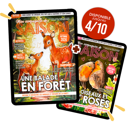 Mon Compagnon de Saison ( Automne 2026 )