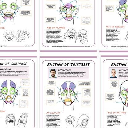 Ebook T4 & T6  Le mouvement et les expressions