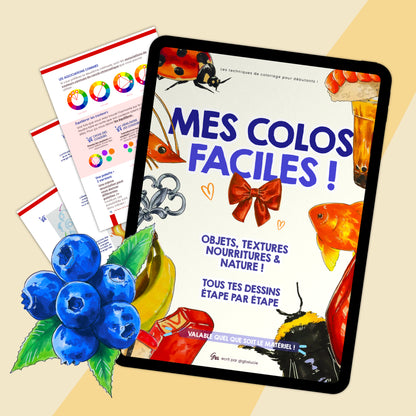 Ebook : Mise en couleurs Facile