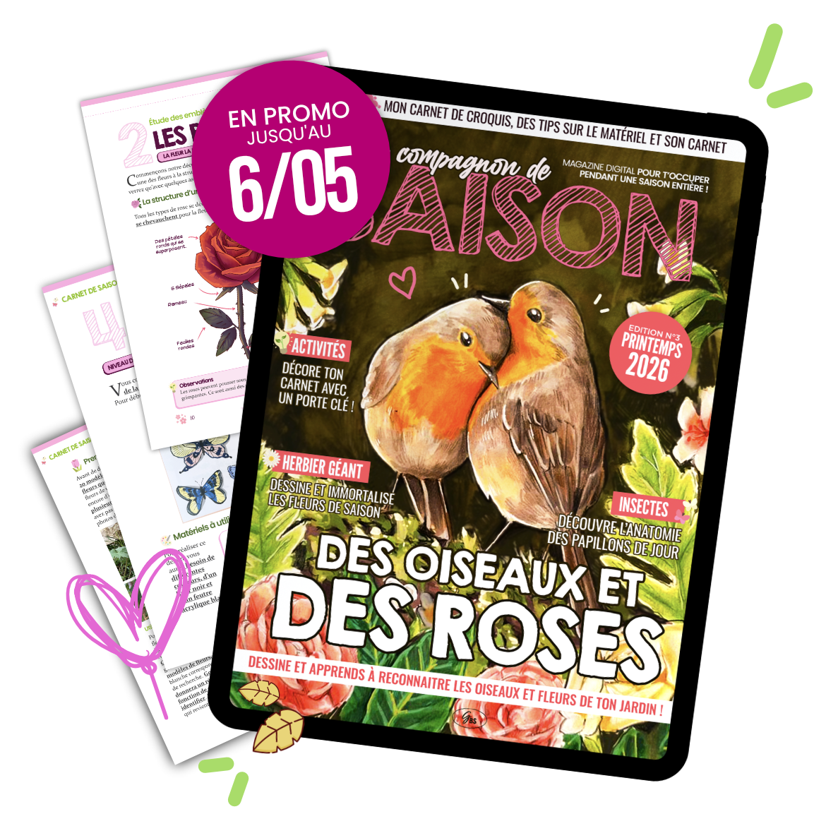 Mon Compagnon de Saison ( Printemps 2026 )